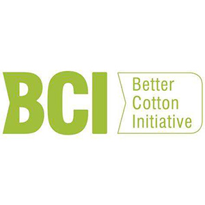 BCI認證咨詢